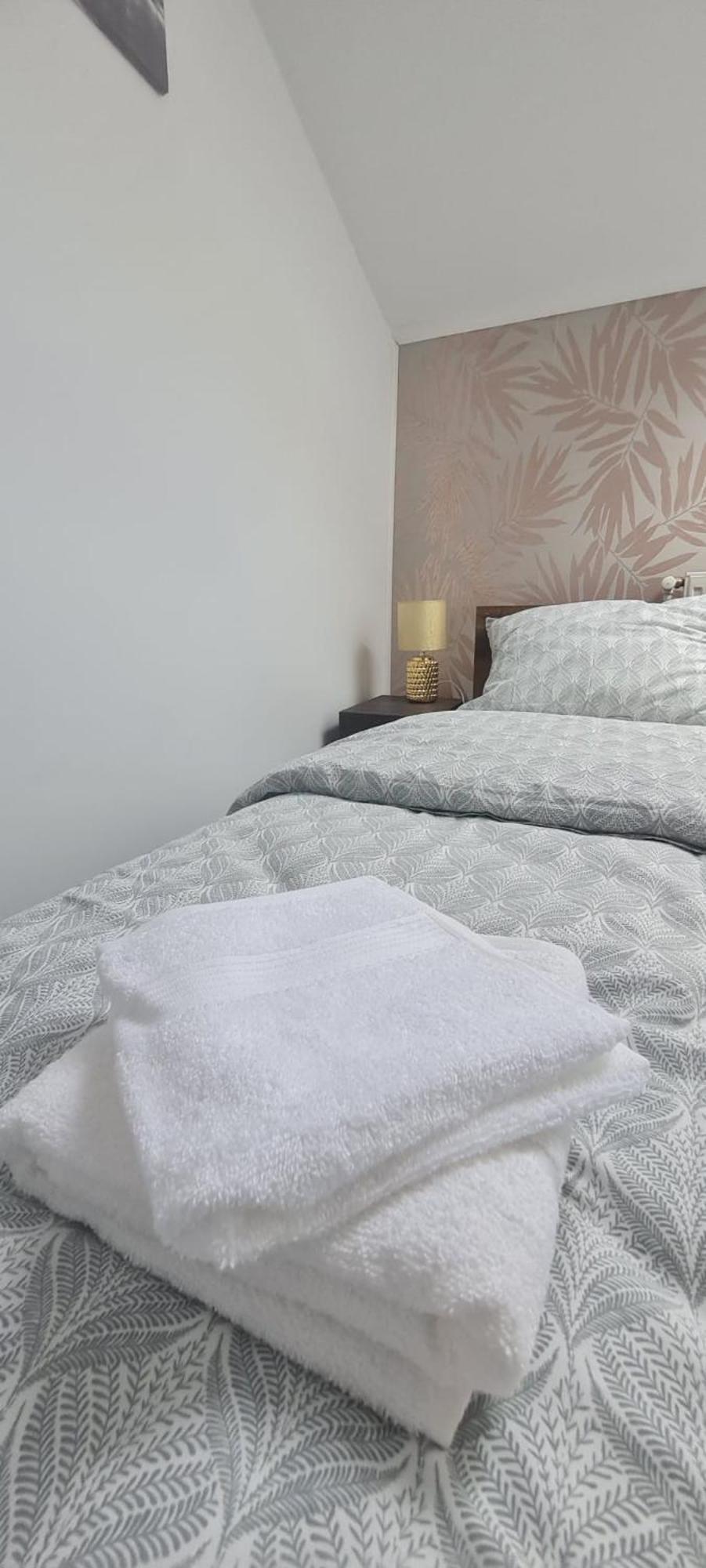 Cosy 2 Bedroom Apartment In New Town 브라쇼브 외부 사진