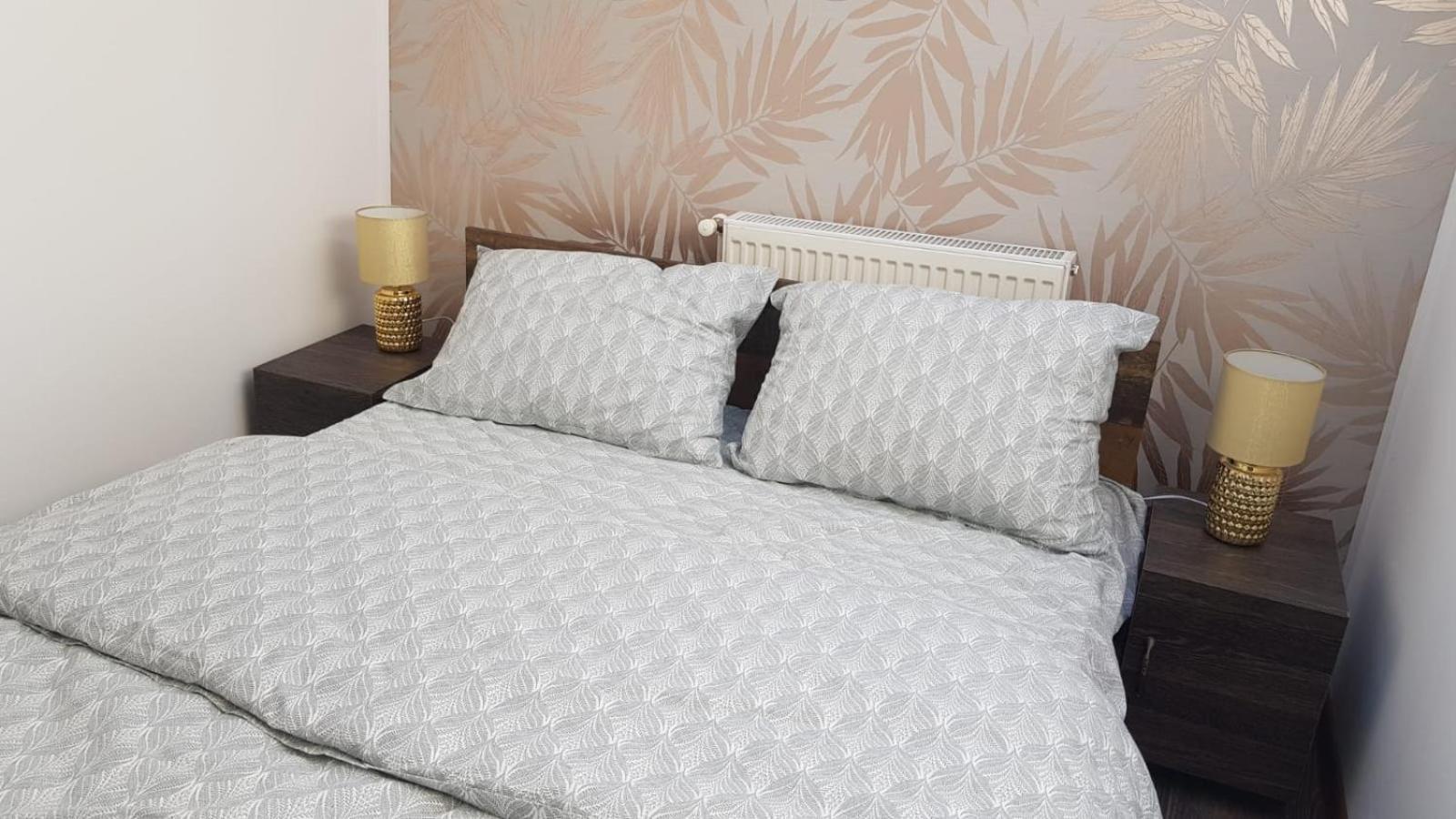 Cosy 2 Bedroom Apartment In New Town 브라쇼브 외부 사진